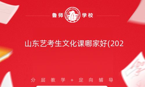 山东艺考生文化课哪家好