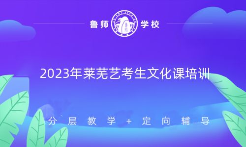 2023年莱芜艺考生文化课培训机构排名(2023最新更新)